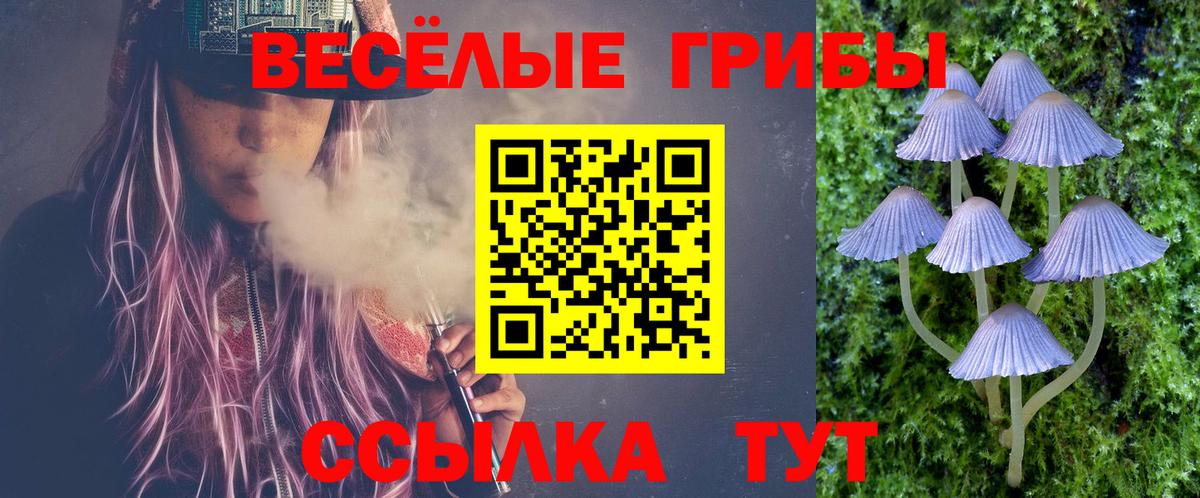 Шатура  Псилоцибиновые грибы мицелий  Вход с VPN 
